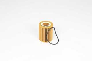 Oil Filter (BSG 15-140-009)