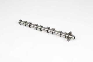 Camshaft (BSG 30-108-014)