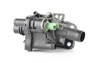 Thermostat, coolant (BSG 30-126-008)