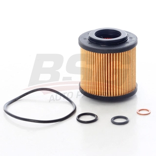 Oil Filter (BSG 15-140-015)