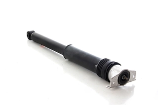Shock Absorber (BSG 65-300-041)