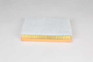 Air Filter (BSG 65-135-029)