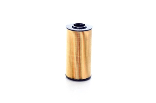 Oil Filter (BSG 40-140-010)