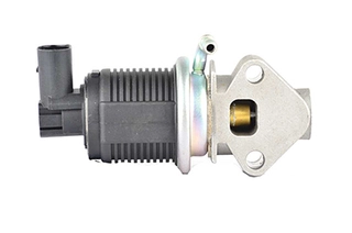 EGR Valve (BSG 90-836-001)