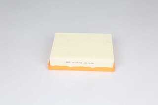 Air Filter (BSG 60-135-018)