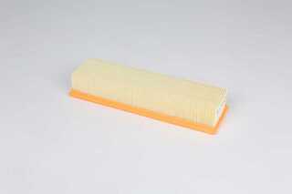 Air Filter (BSG 60-135-045)