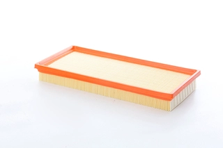 Air Filter (BSG 62-135-001)
