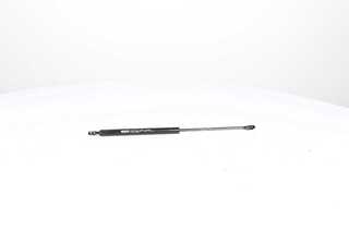 Gas Spring, bonnet (BSG 15-980-004)