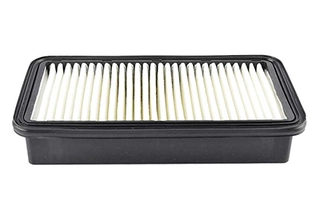 Air Filter (BSG 40-135-014)