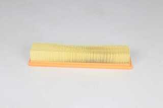 Air Filter (BSG 75-135-018)