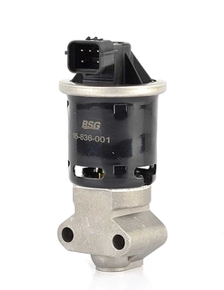 EGR Valve (BSG 16-836-001)