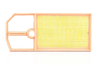 Air Filter (BSG 90-135-008)