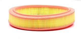 Air Filter (BSG 30-135-013)