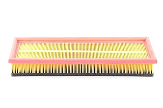 Air Filter (BSG 65-135-013)