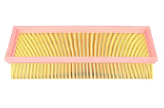 Air Filter (BSG 15-135-003)