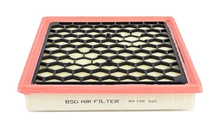 Air Filter (BSG 65-135-021)