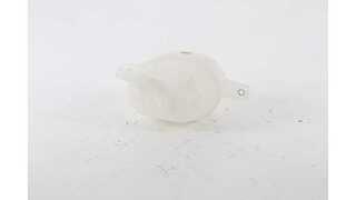 Expansion Tank, coolant (BSG 70-550-012)