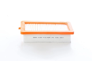 Air Filter (BSG 75-135-027)