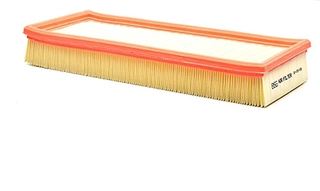 Air Filter (BSG 30-135-019)