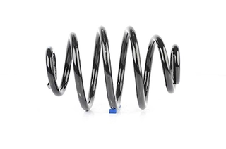 Suspension Spring (BSG 65-305-009)