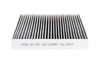 Filter, cabin air (BSG 30-145-012)