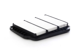 Air Filter (BSG 16-135-006)