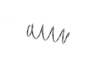 Suspension Spring (BSG 90-305-011)