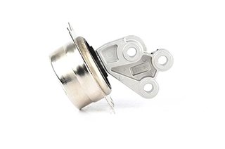 Mounting, engine (BSG 65-700-185)