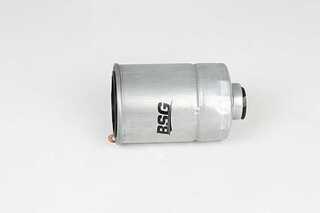 Fuel Filter (BSG 40-130-020)