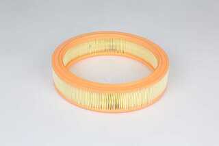 Air Filter (BSG 25-135-010)