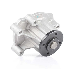 Water Pump, engine cooling (BSG 60-500-013)
