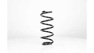 Suspension Spring (BSG 90-305-005)