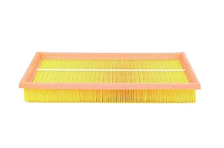 Air Filter (BSG 60-135-013)