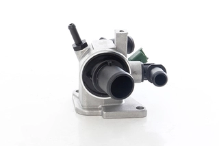 Thermostat, coolant (BSG 65-125-023)
