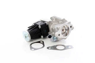 EGR Valve (BSG 30-836-002)