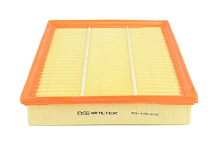 Air Filter (BSG 65-135-012)