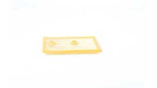 Air Filter (BSG 90-135-026)