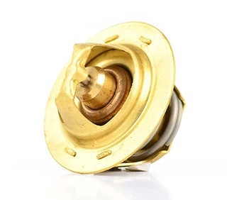 Thermostat, coolant (BSG 30-125-011)