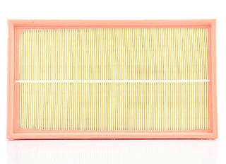 Air Filter (BSG 60-135-009)