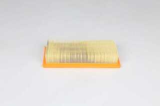 Air Filter (BSG 25-135-013)