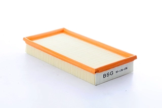 Air Filter (BSG 90-135-038)