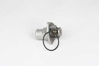 Thermostat, coolant (BSG 65-125-025)