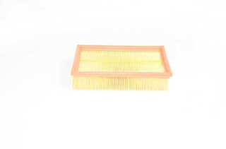 Air Filter (BSG 75-135-007)