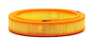 Air Filter (BSG 30-135-022)