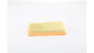 Air Filter (BSG 25-135-008)