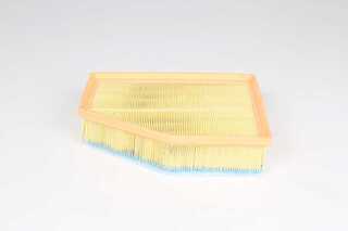 Air Filter (BSG 15-135-026)