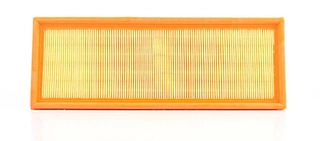 Air Filter (BSG 90-135-005)