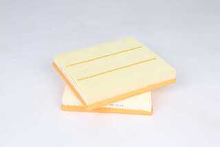 Air Filter (BSG 60-135-048)