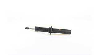 Shock Absorber (BSG 15-300-039)