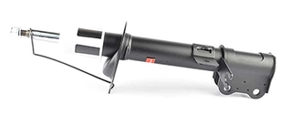 Shock Absorber (BSG 16-300-009)
